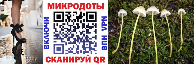 Псилоцибиновые грибы MAGIC MUSHROOMS  Купить закладки  Суджа 
